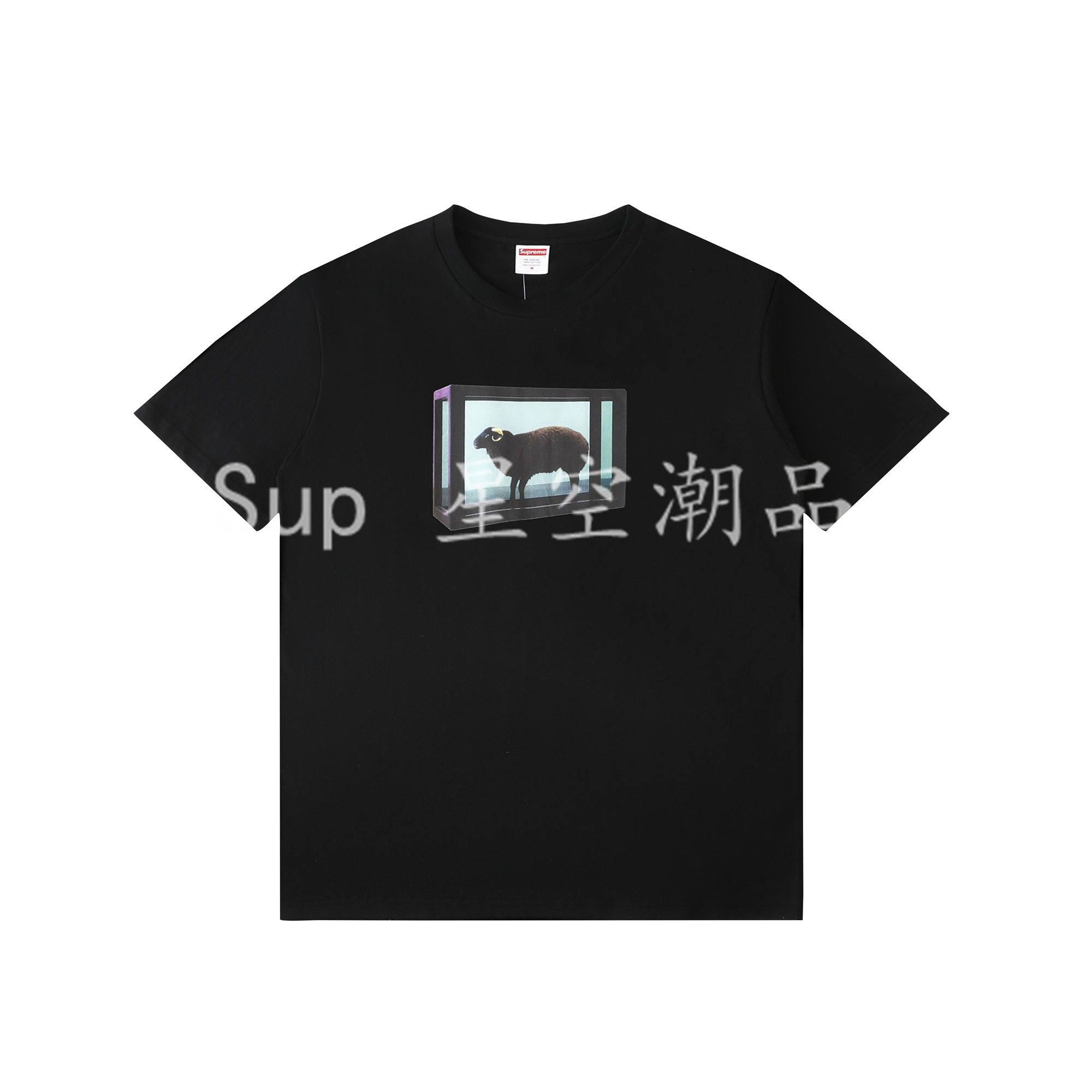 fd91c652b6c5e0b6fe97e394cc153e05_1748825514_6116.jpg