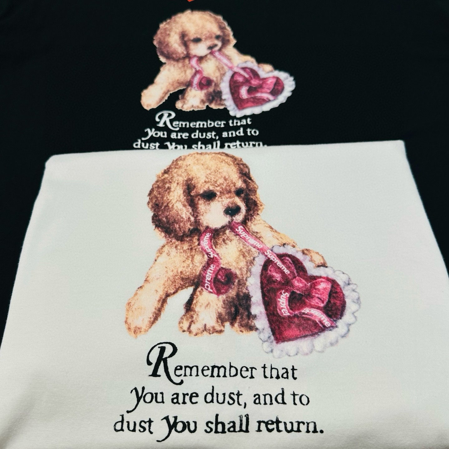 366326c1574399a03ea11f118116bd00_1774529085_7788.jpg