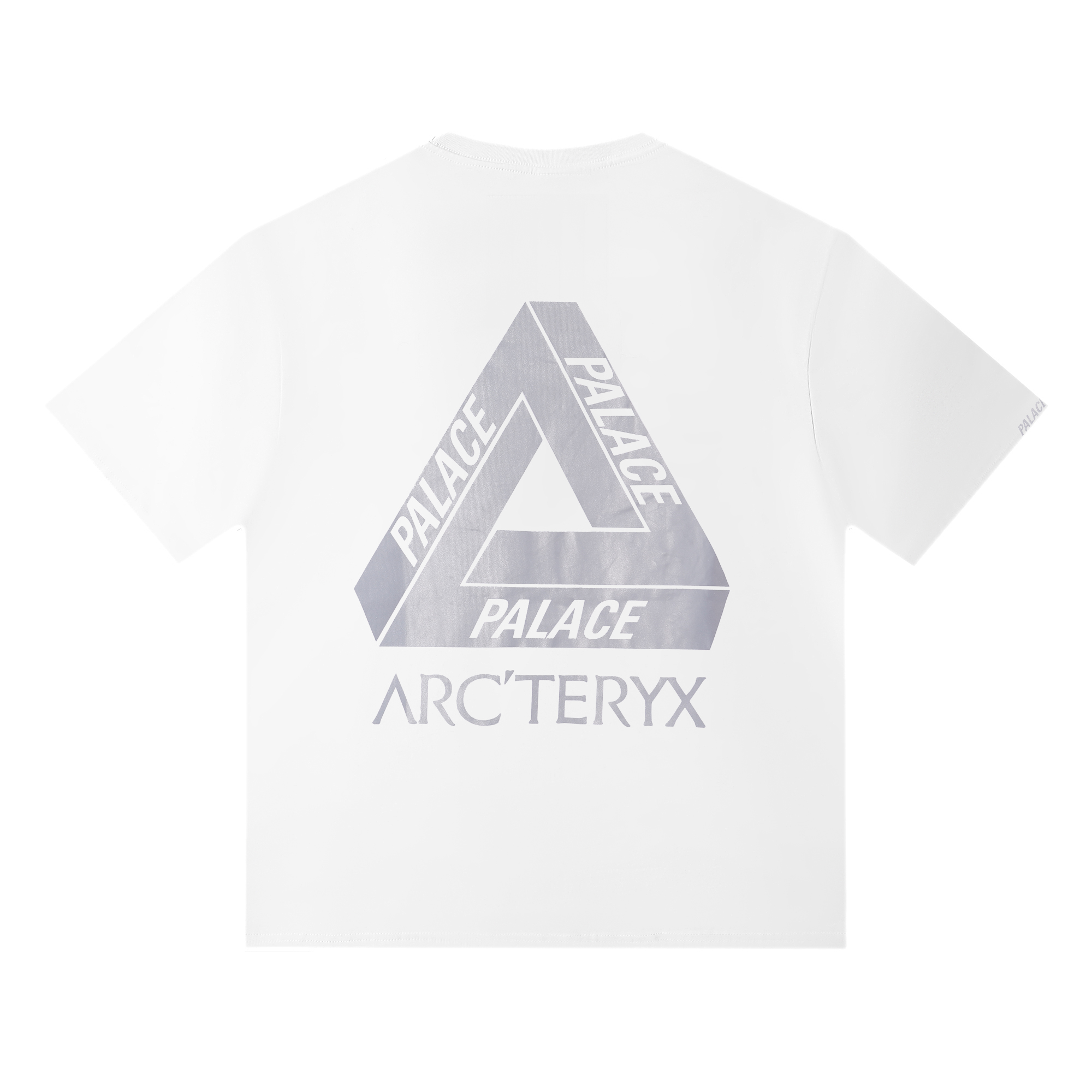 [Arcteryx] 아크테릭스 x 팔라스 티셔츠